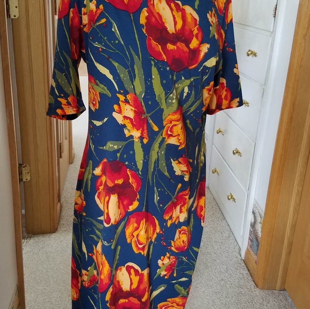 LuLaRoe Dress XL
